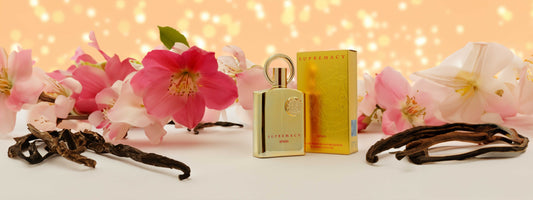 Get 10% Off Your First Order – Sign Up for Exclusive Elin Perfumes Offers!